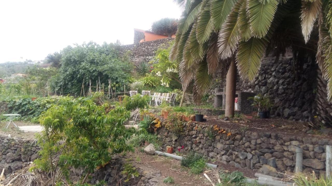 Casa Ida Konuk evi Garachico  Dış mekan fotoğraf