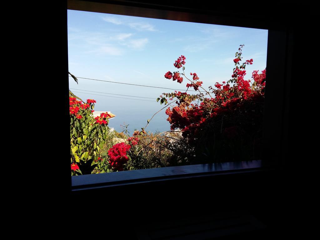 Casa Ida Konuk evi Garachico  Oda fotoğraf