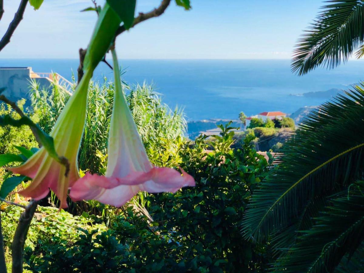 Casa Ida Konuk evi Garachico  Dış mekan fotoğraf