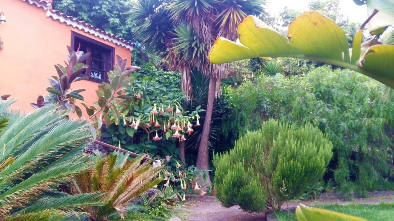 Casa Ida Konuk evi Garachico  Dış mekan fotoğraf